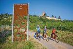Pfälzer Weinsternfahrt