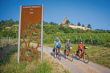 Pfälzer Weinsternfahrt - Radler mit Wachtenburg