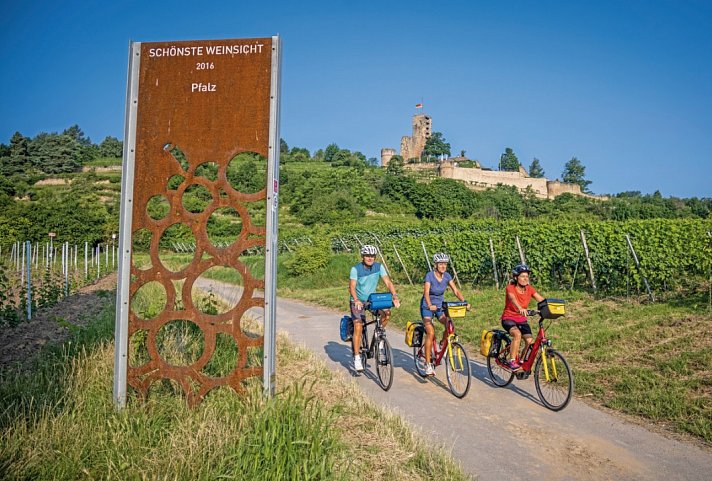 Pfälzer Weinsternfahrt - Radler mit Wachtenburg
