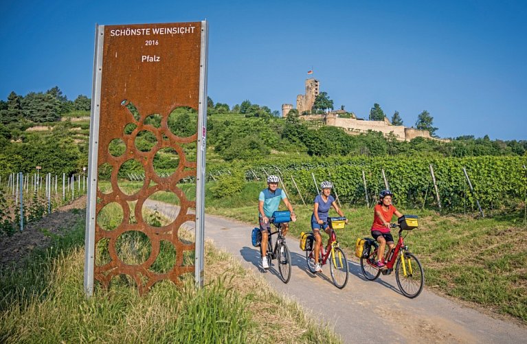 Pfälzer Weinsternfahrt