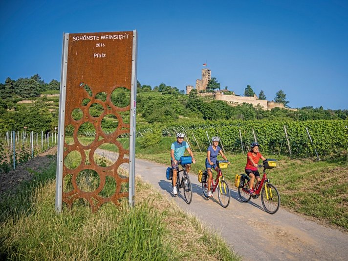 Pfälzer Weinsternfahrt