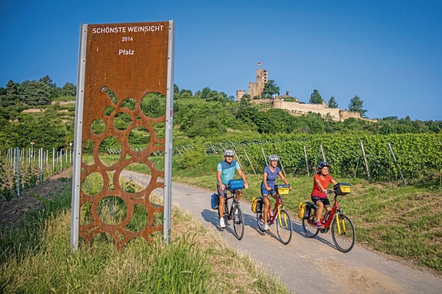 Pfälzer Weinsternfahrt - Radler mit Wachtenburg