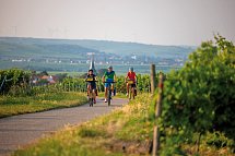 Pfälzer Weinsternfahrt