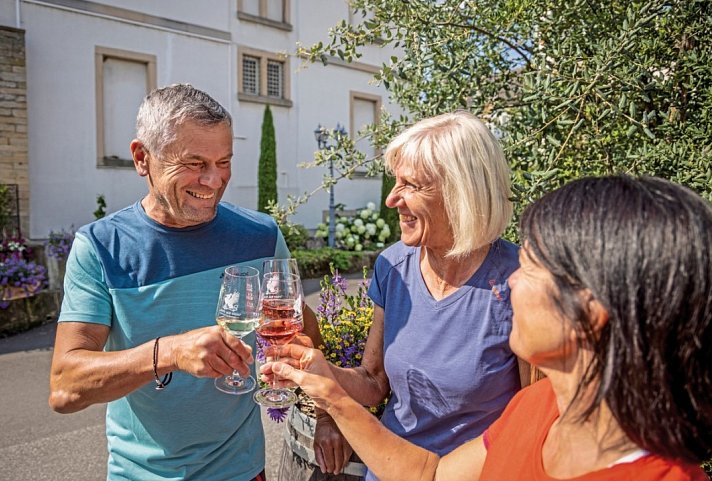 Pfälzer Weinsternfahrt