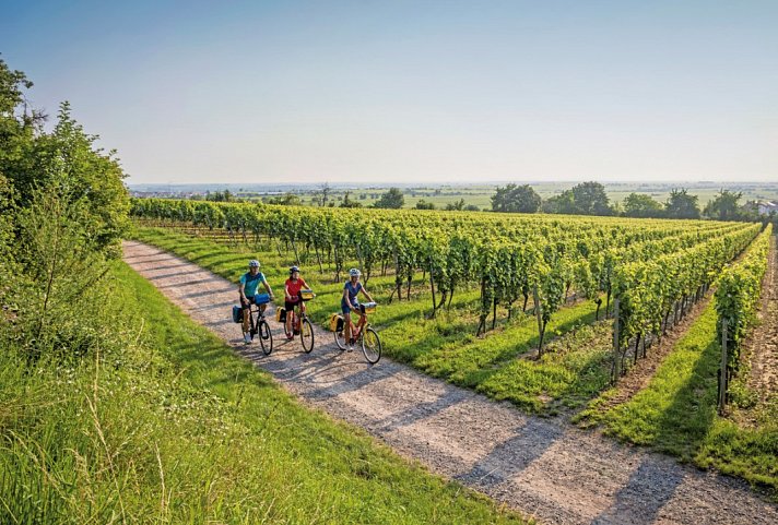 Pfälzer Weinsternfahrt