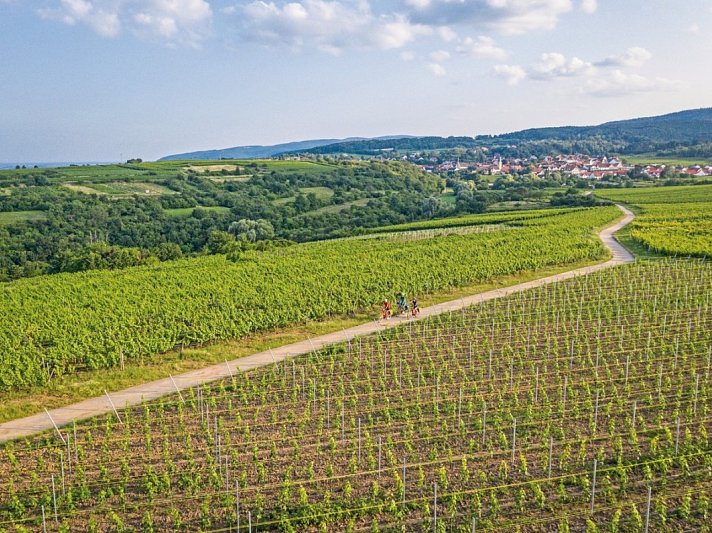 Pfälzer Weinsternfahrt