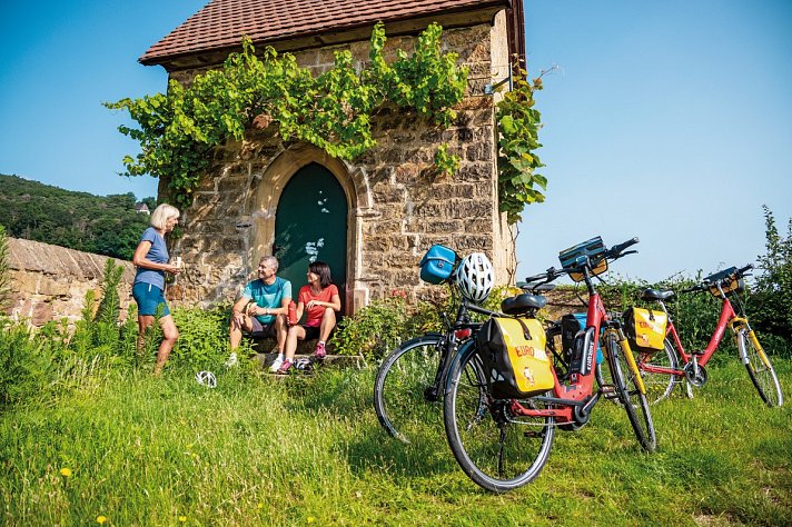 Pfälzer Weinsternfahrt