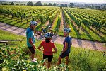 Pfälzer Weinsternfahrt