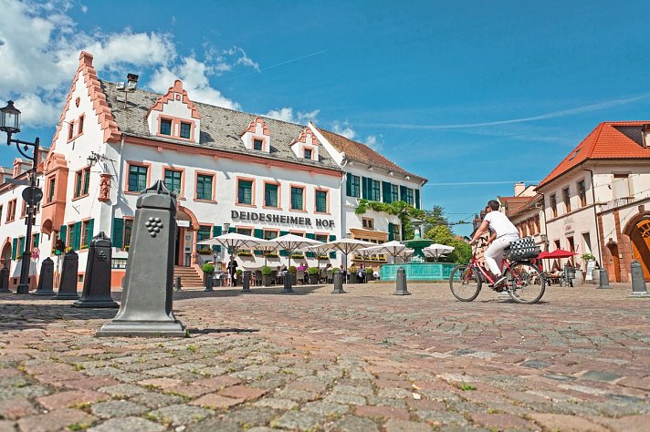 Pfälzer Weinsternfahrt