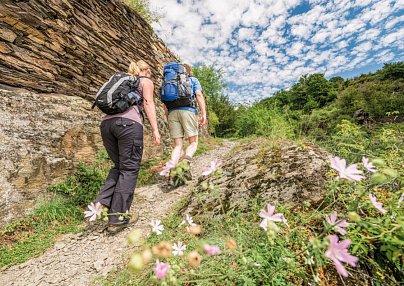 Best of Moselsteig Trier