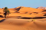 Marrakesch und den Zauber der Sahara erwandern