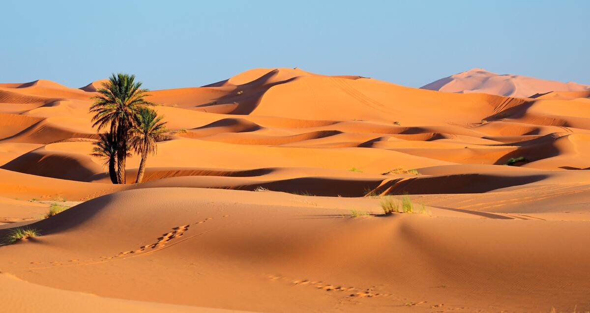 Marrakesch und den Zauber der Sahara erwandern