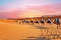 Marrakesch und den Zauber der Sahara erwandern