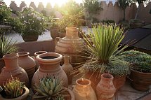 Riad Ifoulki