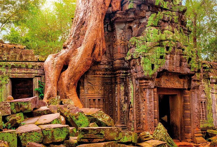 Stippvisite Angkor Wat - Ta Prohm Tempel, Angkor