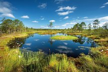 Städtezauber und Inselwelt - Lahemaa Nationalpark