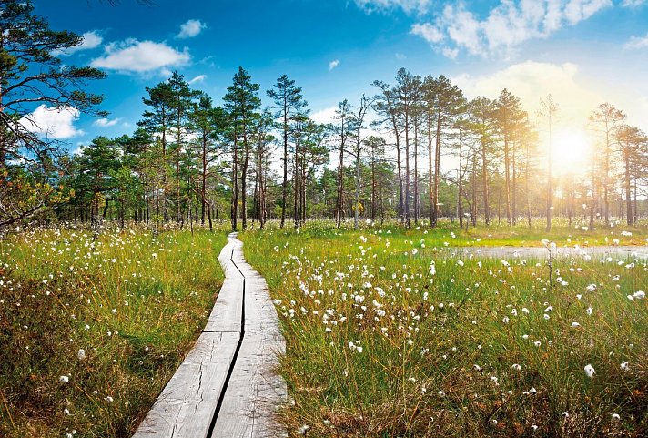 Städtezauber und Inselwelt - Laheema Nationalpark