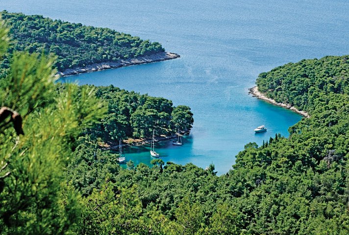 Inselhüpfen Kvarner Bucht - Insel Losinj