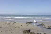 Park-Hotel Hübner - Nähere Umgebung_Strand