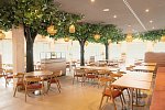 BEECH Resort Boltenhagen