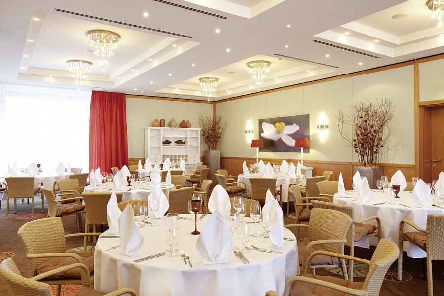 Vienna House by Wyndham Baltic Stralsund - Restaurant