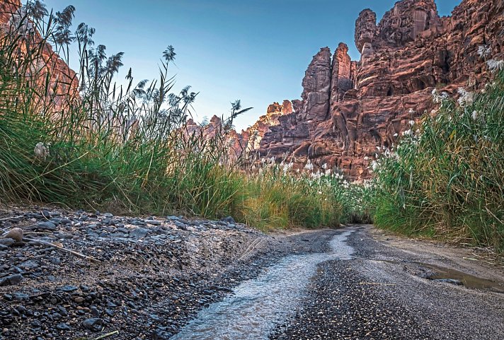 Große Saudi-Arabien Rundreise - Wadi Disah