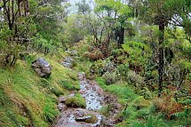 La Réunion - Insel der tausend Gesichter