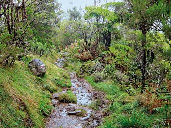 La Réunion - Insel der tausend Gesichter