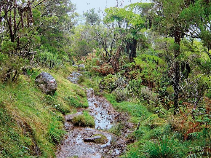 La Réunion - Insel der tausend Gesichter