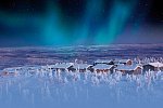 360 Grad Wintererlebnis