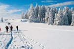 360 Grad Wintererlebnis