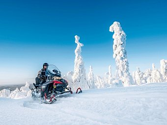 360 Grad Wintererlebnis - Schneemobil-Safari