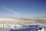 Winterspaß in Finnisch Lappland