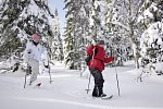 Winterspaß in Finnisch Lappland