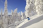 Winterspaß in Finnisch Lappland Premium