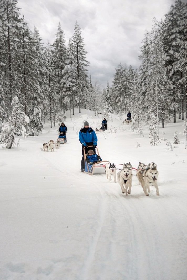 Winterspaß in Finnisch Lappland Premium