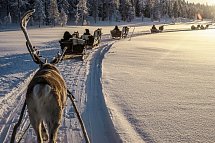 Winterspaß in Finnisch Lappland Premium - Rentierschlittenfahrt