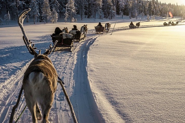 Winterspaß in Finnisch Lappland Premium