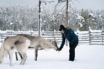 Winterspaß in Finnisch Lappland Premium