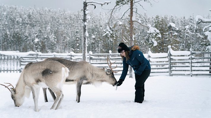 Winterspaß in Finnisch Lappland Premium