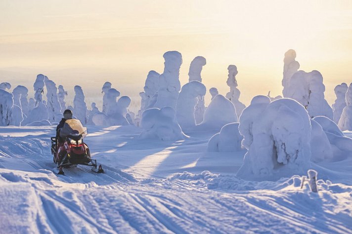 Winterspaß in Finnisch Lappland Premium