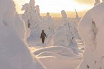 Winterspaß in Finnisch Lappland Premium