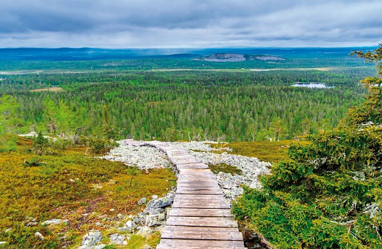 Lappland entspannt erleben ab Rovaniemi