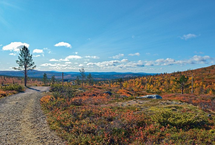 Lappland entspannt erleben ab Rovaniemi - Pallas Nationalpark