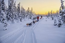Lappland pur - Huskys, Rentiere & Nordlichter