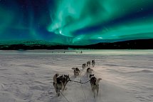 Lappland pur - Huskys, Rentiere & Nordlichter