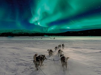 Lappland pur - Huskys, Rentiere & Nordlichter