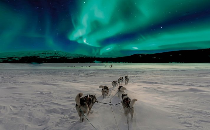 Lappland pur - Huskys, Rentiere & Nordlichter
