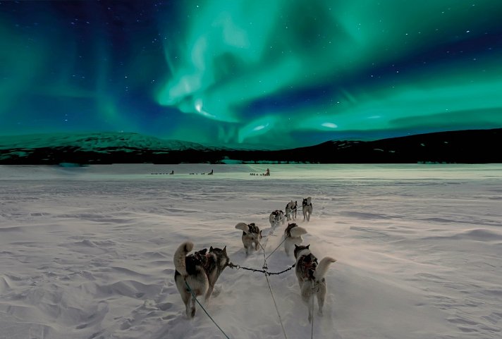 Lappland pur - Huskys, Rentiere & Nordlichter
