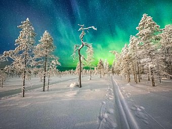 Lappland pur - Huskys, Rentiere & Nordlichter